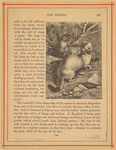 Image ID 823798
