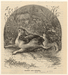 Image ID 823800