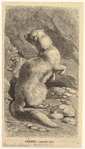 Image ID 823801