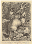 Image ID 823802