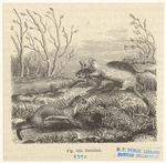 Image ID 823804