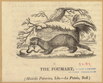 Image ID 823808