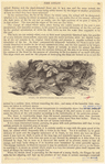Image ID 823809