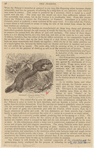 Image ID 823810
