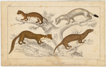 Image ID 823811
