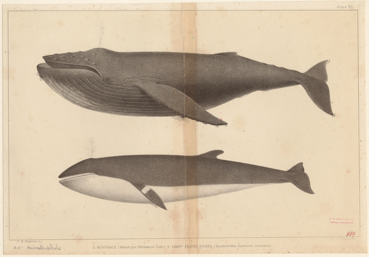 Image ID 823813
