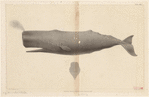 Image ID 823814