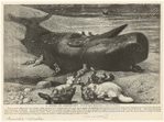 Image ID 823816