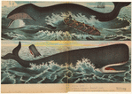 Image ID 823817