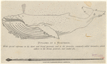 Image ID 823819