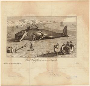 Image ID 823820