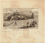 Image ID 823820