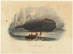 Image ID 823821