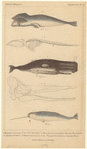 Image ID 823823