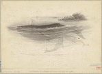 Image ID 823825