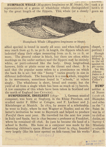 Image ID 823828