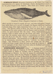 Image ID 823828