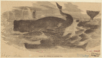 Image ID 823831