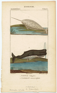 Image ID 823832