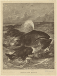 Image ID 823835
