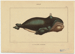 Image ID 823836