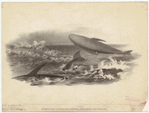 Image ID 823837