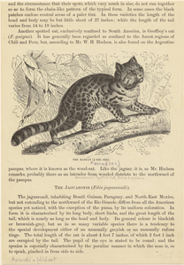 Image ID 823845