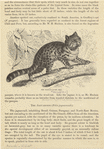 Image ID 823845
