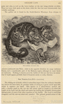 Image ID 823849