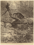 Image ID 823850