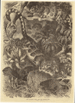Image ID 823851