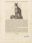 Image ID 823857