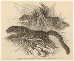 Image ID 823865