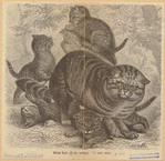 Image ID 823868