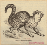 Image ID 823869