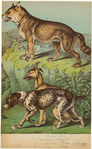 Image ID 823871