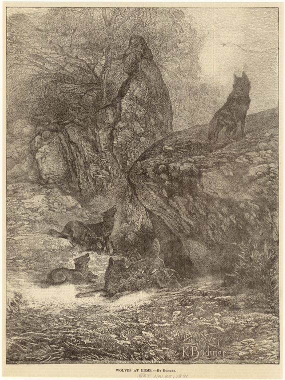 Image ID 823873
