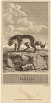 Image ID 823875
