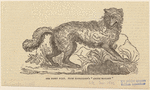 Image ID 823876