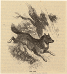 Image ID 823880