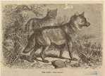 Image ID 823881