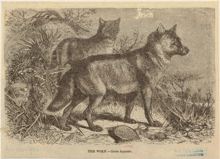Image ID 823881

