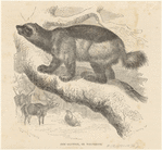 Image ID 823885