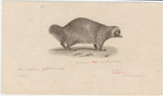 Image ID 823887