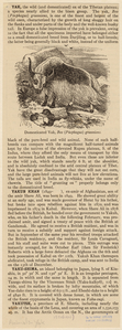 Image ID 823893