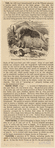 Image ID 823893
