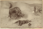 Image ID 823896