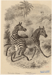 Image ID 823900