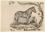 Image ID 823904