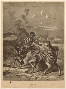 Image ID 823905